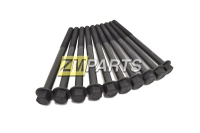 Болты ГБЦ  к-т Chevrolet  Aveo B12S1