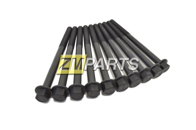 Болты ГБЦ  к-т Chevrolet  Aveo B12S1