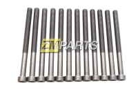 Болты ГБЦ к-т  VW Transporter T5, Touareg 2.5