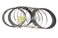 Кольца поршневые 1.0 D4BH, D4BF Hyundai Starex, Terracan, Porter, Galloper 2.5