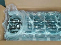 Головка блока ГБЦ Nissan Pathfinder, CabStar, Navara 2.5 YD25DDTi