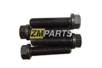 Болт коленвала Sang Yong Kyron, Rexton, Actyon