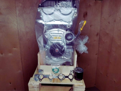 Двигатель 15S4G Zotye T600, Зоти Т600 новый